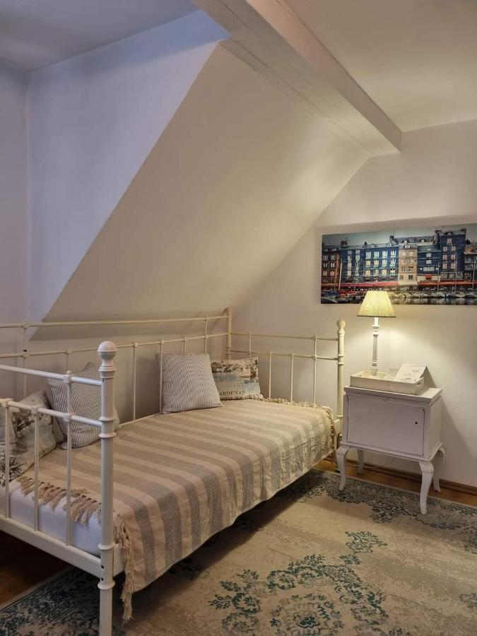 Bed and Breakfast Fregata à Zagórze Śląskie Extérieur photo