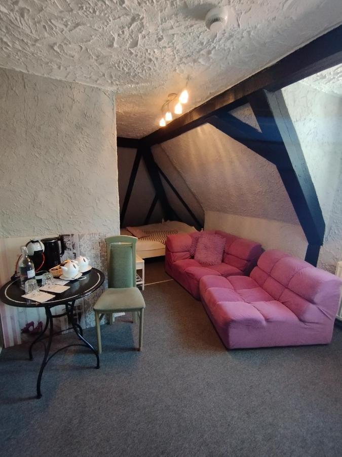 Bed and Breakfast Fregata à Zagórze Śląskie Extérieur photo